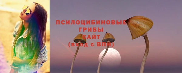 ГАЛЛЮЦИНОГЕННЫЕ ГРИБЫ Алексеевка