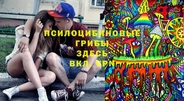 шишки Абдулино