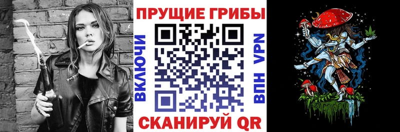 Галлюциногенные грибы Psilocybe  Трубчевск 